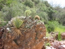 PICTURES/Tonto National Monument Upper Ruins/t_104_0499.JPG